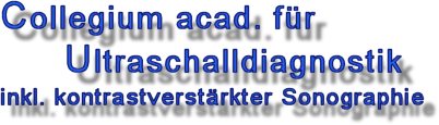 Bei Ultraschalluntersuchungen werden schnell und ungef&auml;hrlich Informationen &uuml;ber Erkrankungen oder Organver&auml;nderungen gewonnen
